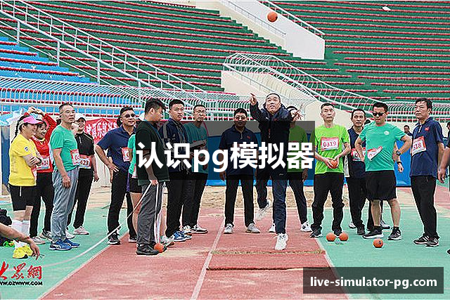认识pg模拟器